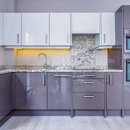 Cozy By Portland Square Gardens 公寓 布里斯托